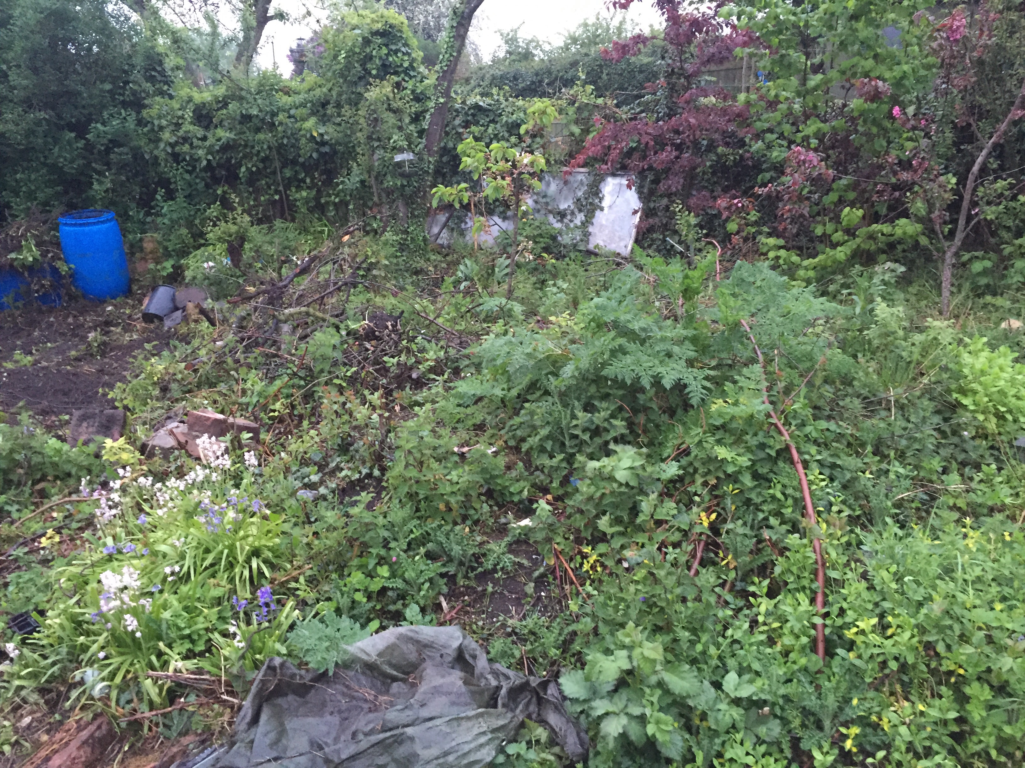 a1d4fb13-1d6f-4d2a-9edd-de3fd63fec74