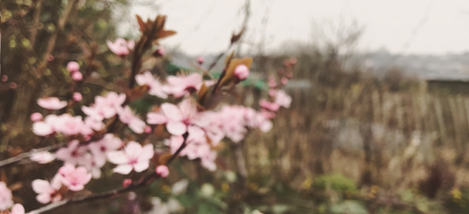 Hello Spring – I’m&nbsp;Back!