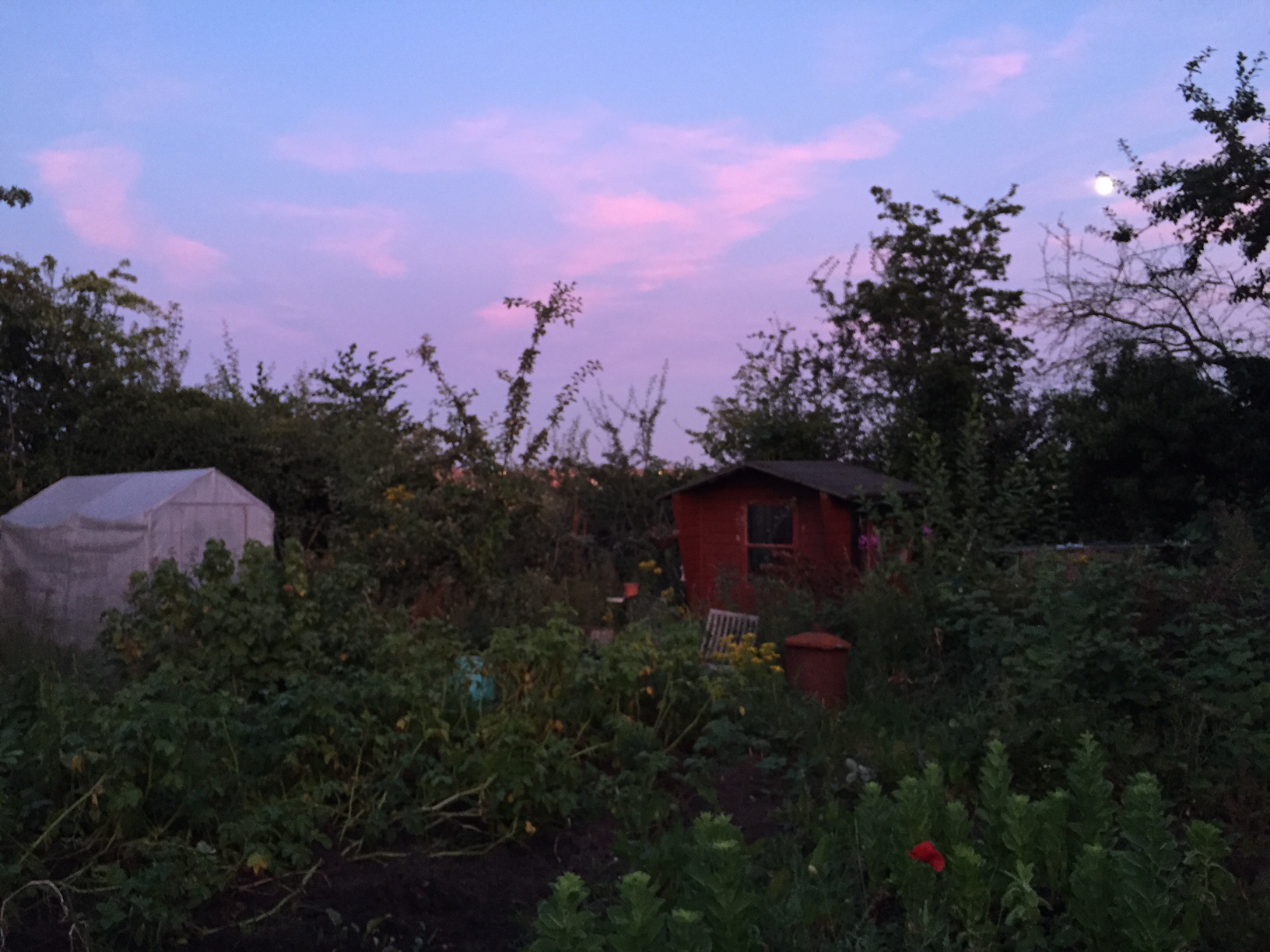 C5D07565-7755-471C-9EE7-7AA072E78D76