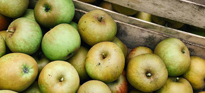 How I Made Home Brewed Cider Part&nbsp;1