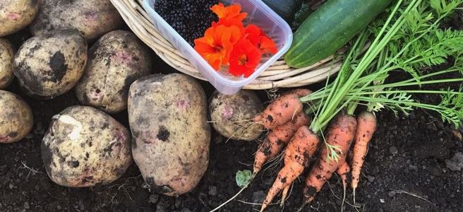 TOP 7 Successes of&nbsp;2017