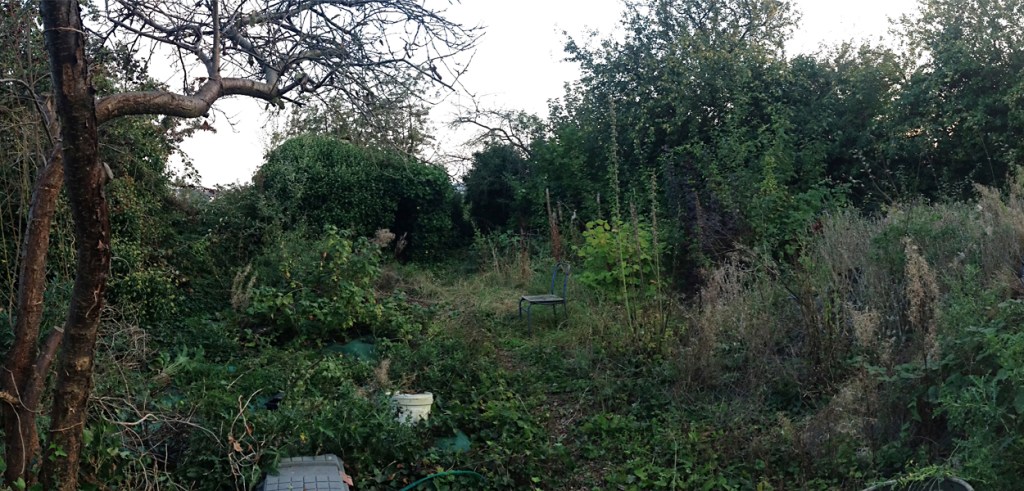 Tips for Choosing your Allotment&nbsp;Garden