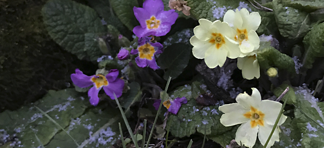 End of Winter&nbsp;Update